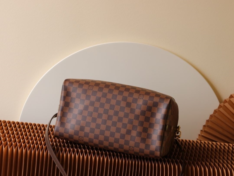 LV Speedy Bags